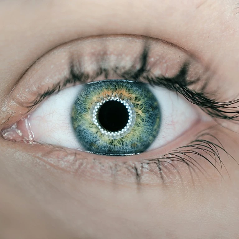 Understanding the Complexities of MRO Procurement in MSP Staffing