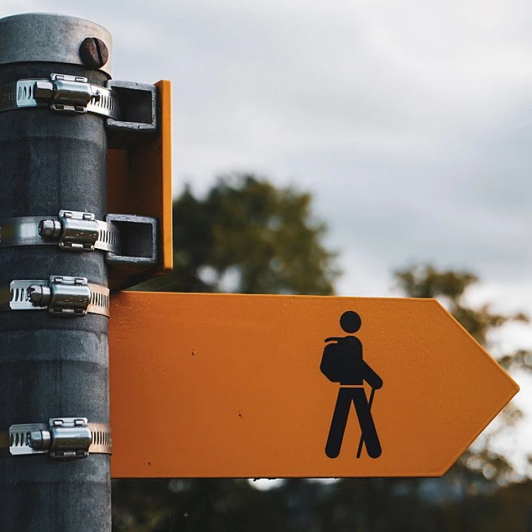 Understanding W2 Contract Positions in MSP Staffing