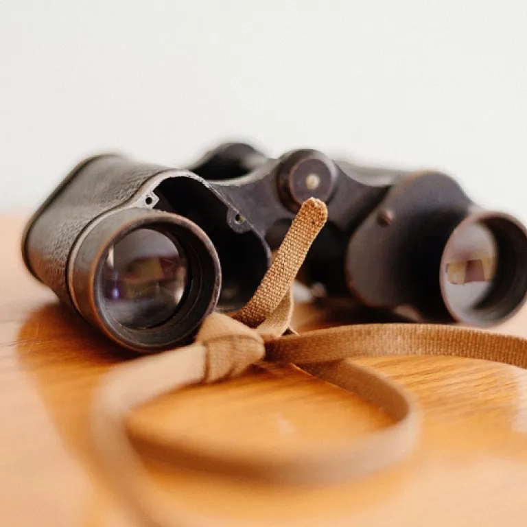 How eor services in MENA are transforming MSP staffing